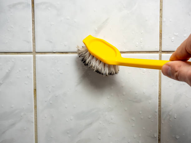 Home Mold Removal in Bothell East, WA
