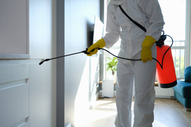 Best Commercial Mold Removal  in Bothell East, WA