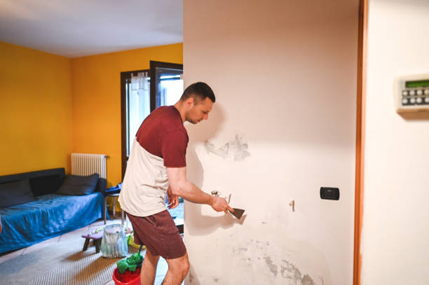 Mold Removal Process in Bothell East, WA